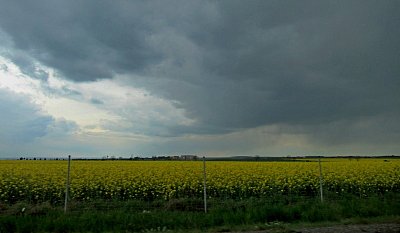 img-3179-1.jpg