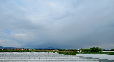 img-3223-4.jpg