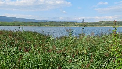 img-3313-1.jpg
