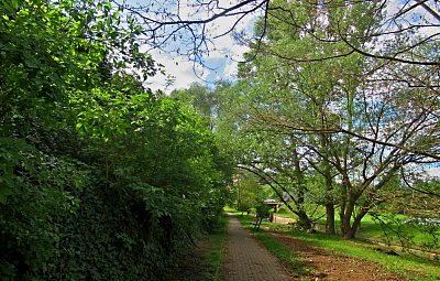 img-3339-2.jpg