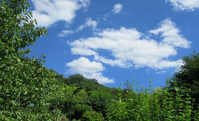 img-3559.jpg