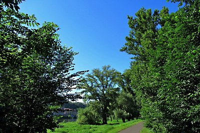 img-3563.jpg
