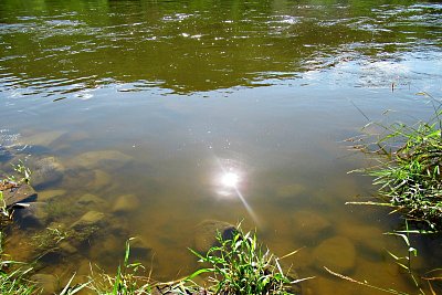 img-3569.jpg