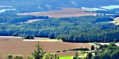 img-3663-1.jpg