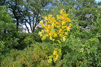 img-3832-3.jpg