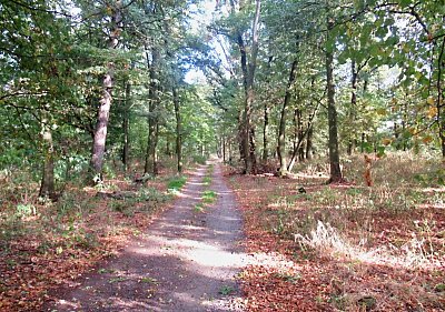 img-3887.jpg