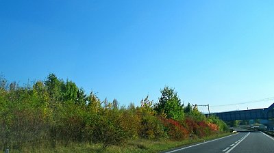 img-3944.jpg