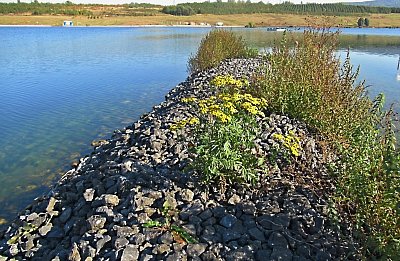 img-4032-1.jpg