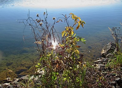 img-4059-1.jpg