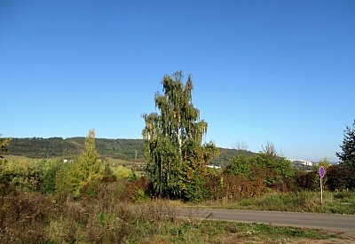 img-4105.jpg