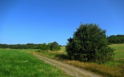 img-4373.jpg