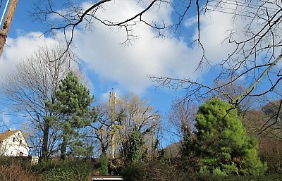 img-5003-1.jpg