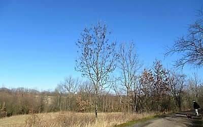 img-5242-2.jpg
