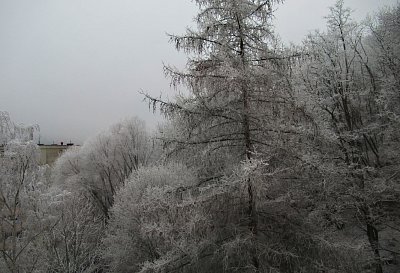 img-5305-1.jpg