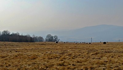 img-5578-1.jpg