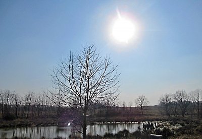 img-5588-1.jpg