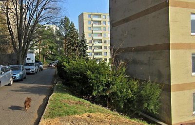 img-5618-1.jpg