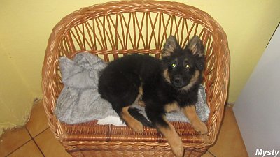 img-5630-2.jpg