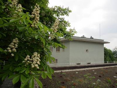 Vila pod kaštany