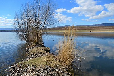 img-5901-1.jpg