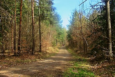 img-6048-1.jpg