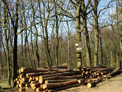 img-6383.jpg