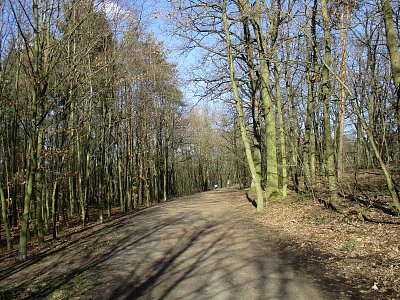 img-6390.jpg
