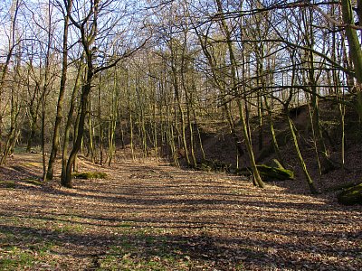 img-6391.jpg