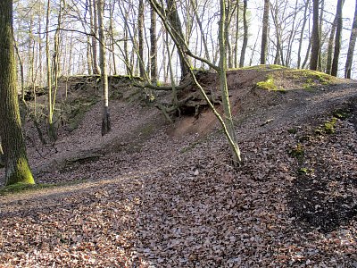 img-6397.jpg
