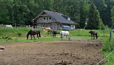 img-6695-1.jpg