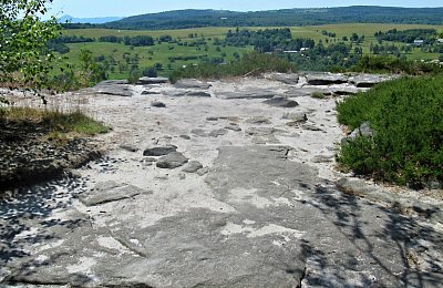 img-6890-1.jpg