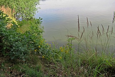 img-7132-2.jpg