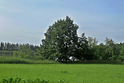 img-7146.jpg