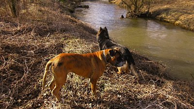 img-7579.jpg