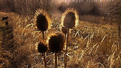 img-7609-1.jpg