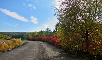 img-8206-1.jpg