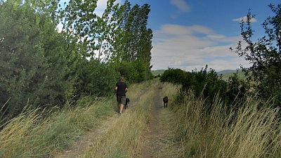 img-8224.jpg