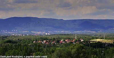 img-8251.jpg