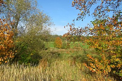 img-8363.jpg