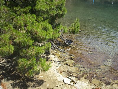 img-8751.jpg