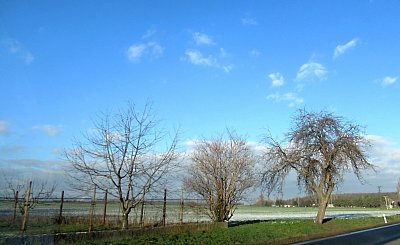img-8779-1.jpg