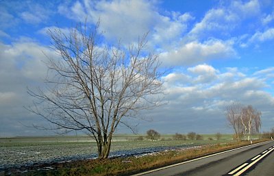 img-8786.jpg