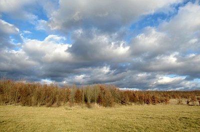 img-8913-2.jpg