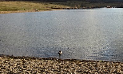 img-8920-2.jpg