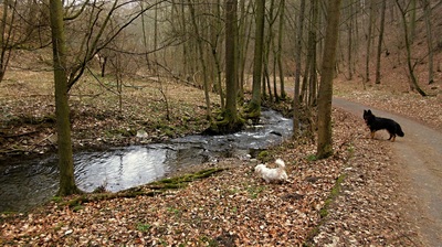 img-8934.jpg
