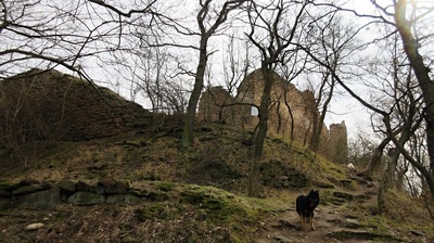 img-8984.jpg
