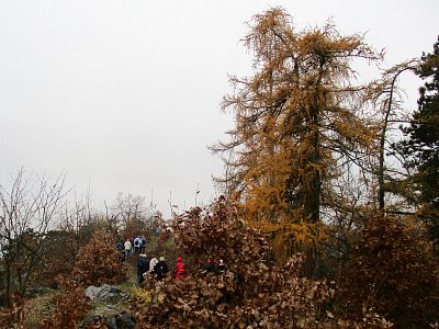 img-9314.jpg