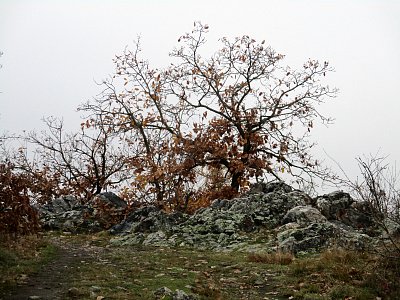 img-9319.jpg