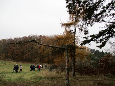 img-9341.jpg