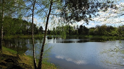 img-9599.jpg
